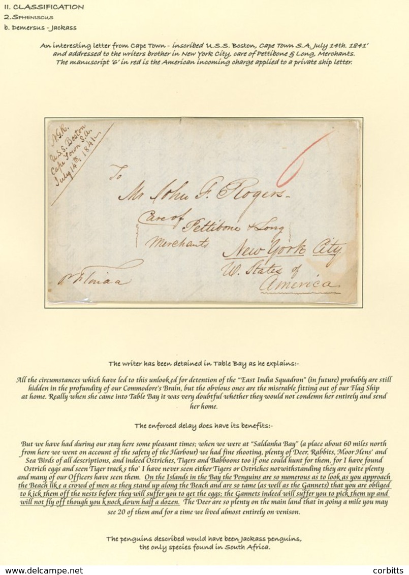 PENGUINS South Africa - Fine 1841 Entire From N.G Rogers Aboard The U.S.S. Boston In Cape Town To His Brother In New Yor - Autres & Non Classés