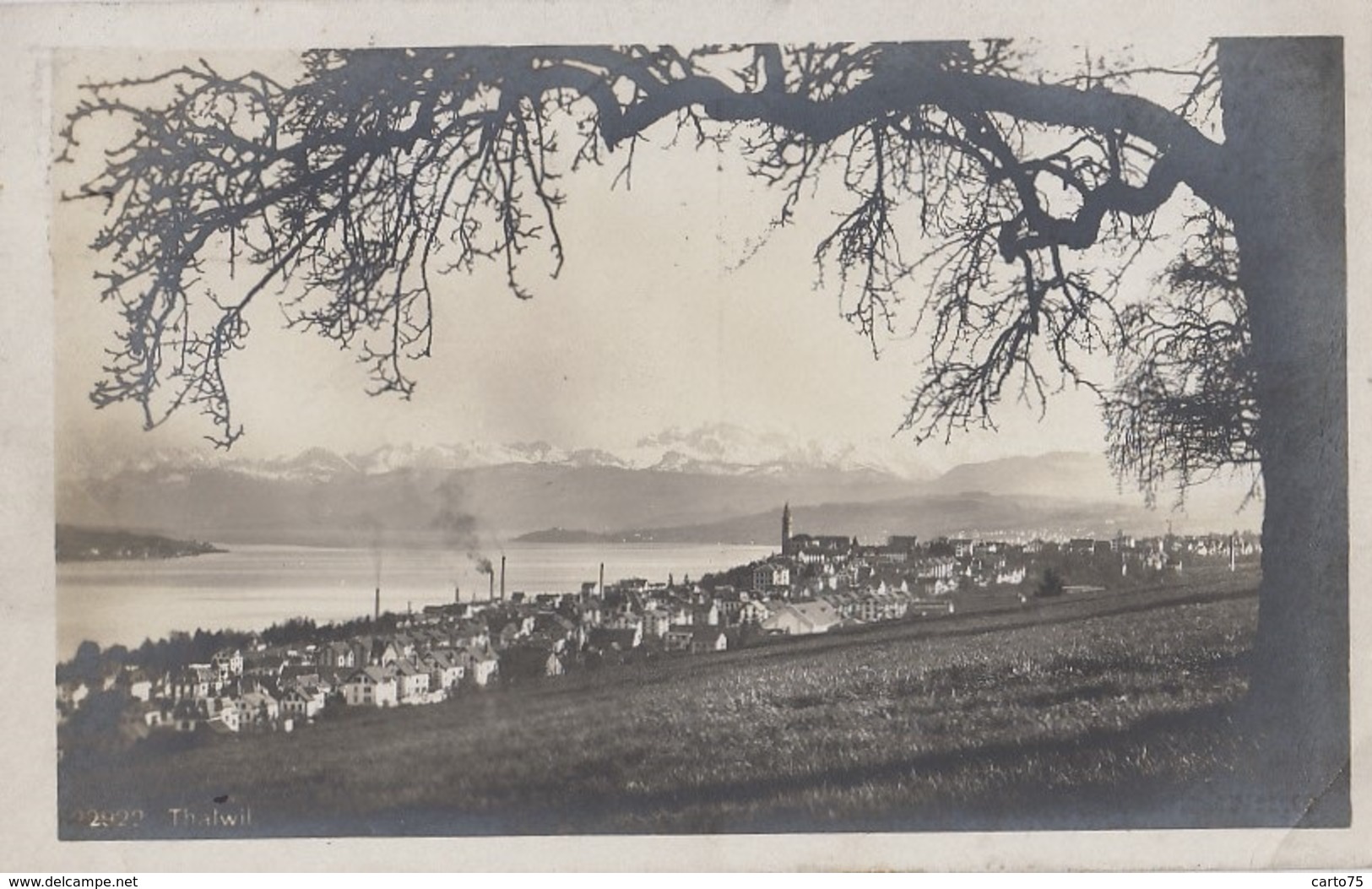 Suisse - Thalwil - Paysage - 1923 - Thalwil