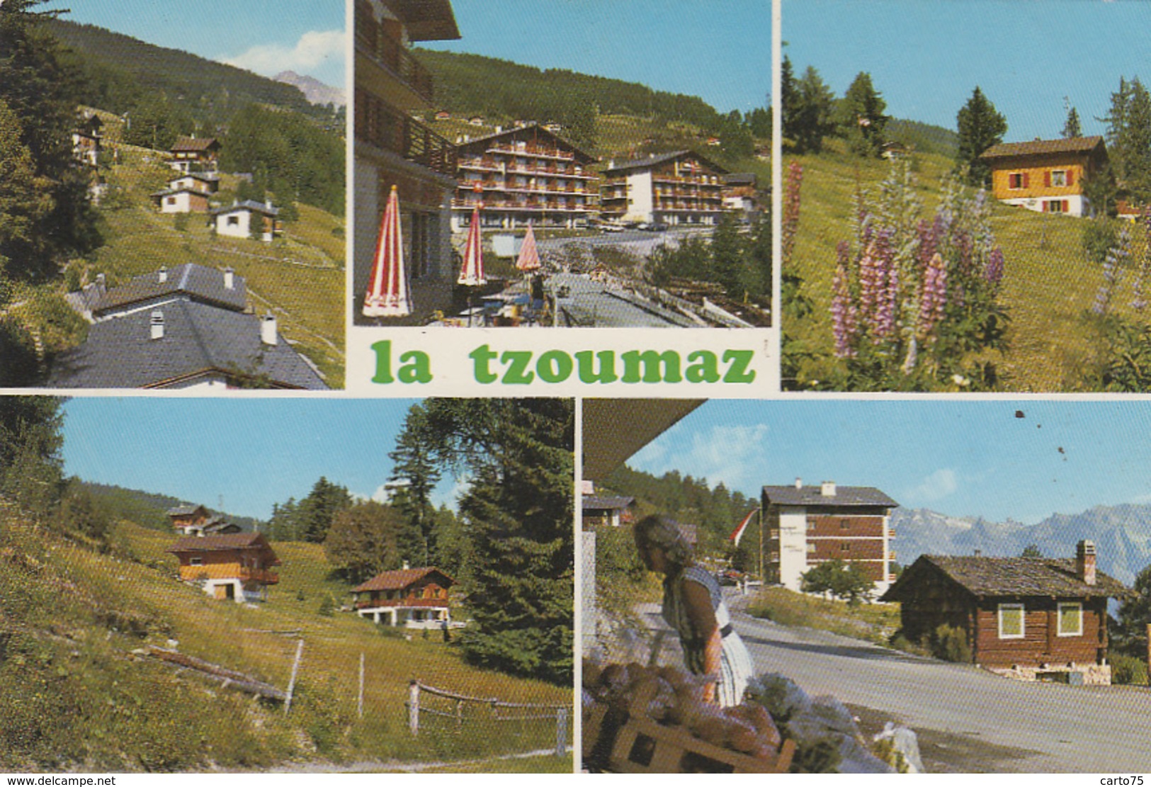 Suisse - Les Mayens De Riddes - La Tzoumaz - Vues Diverses - Edition Jubin Vétroz - Riddes