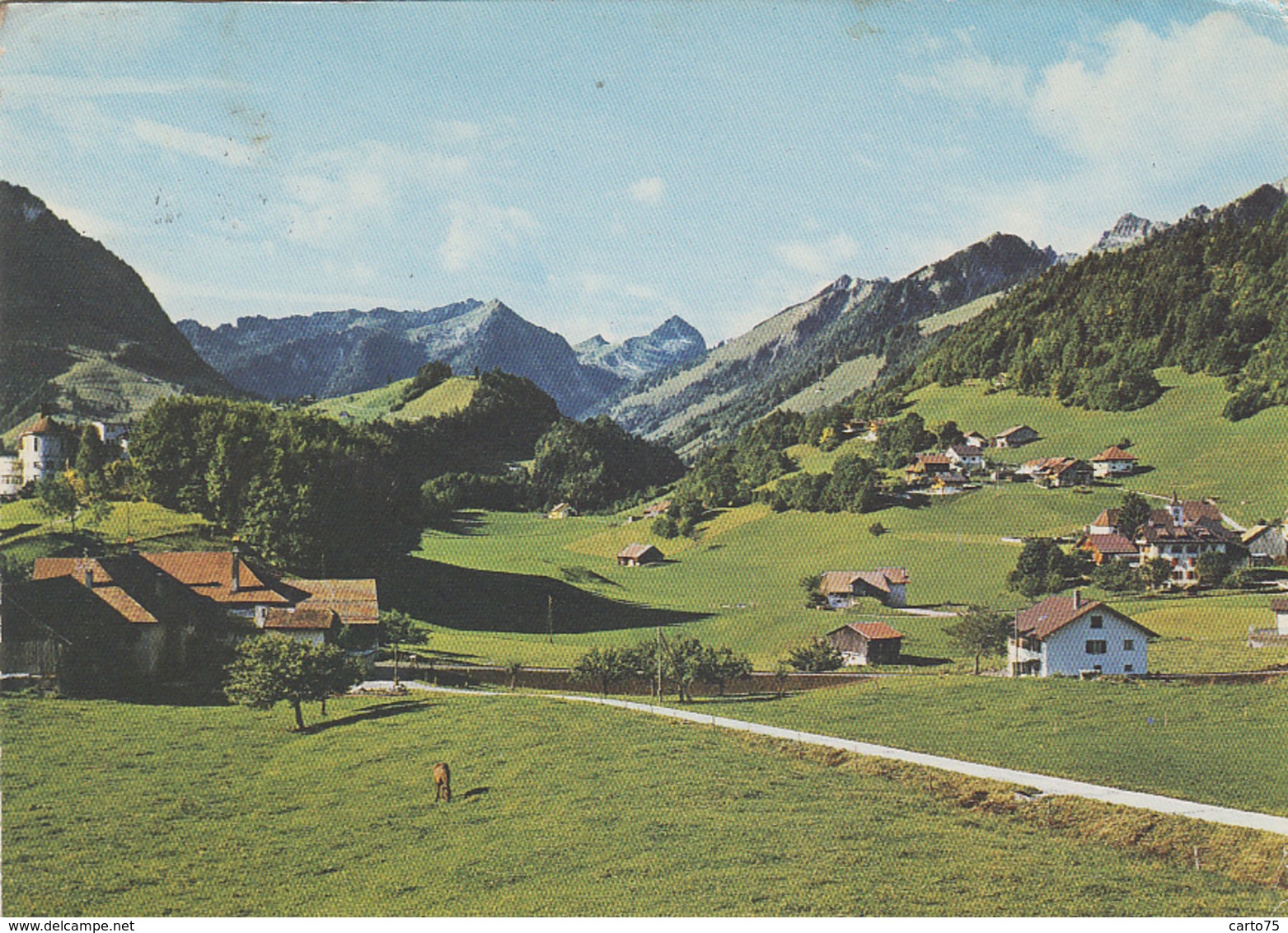 Suisse - Les Sciernes-d'Albeuve - Panorama - Edition Glasson - 1971 - Albeuve