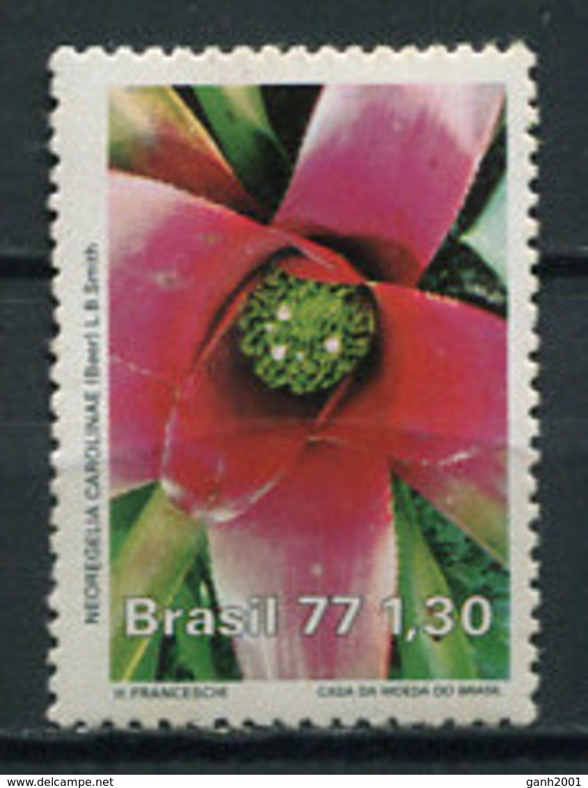 Brazil 1977 Brasil / Flowers MNH Flores Blumen Fleurs / Cu3616  18-20 - Otros & Sin Clasificación