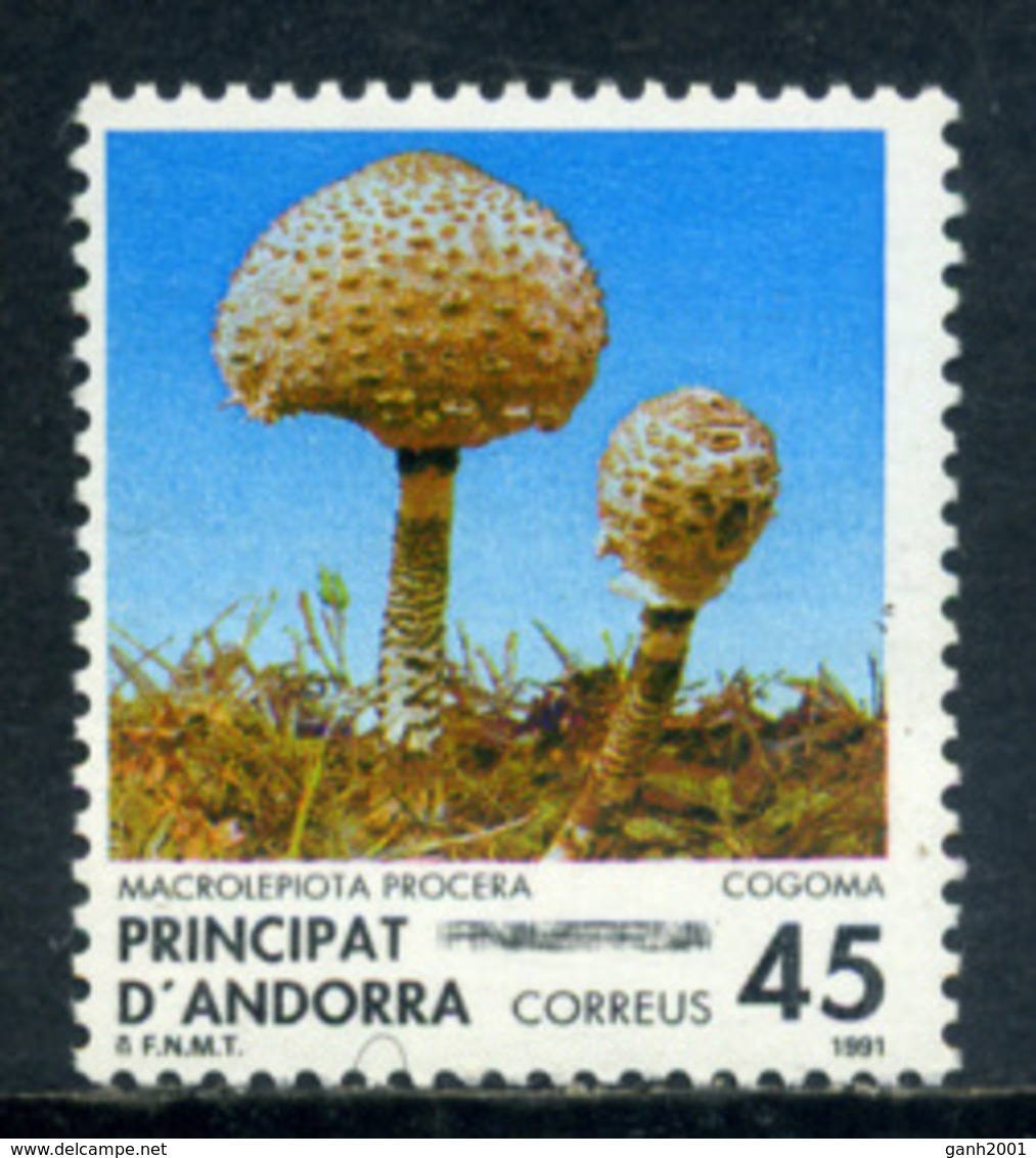 Andorra 1991 / Mushrooms MNH Setas Pilze Champignons Fungi / Ef35  38-29 - Hongos