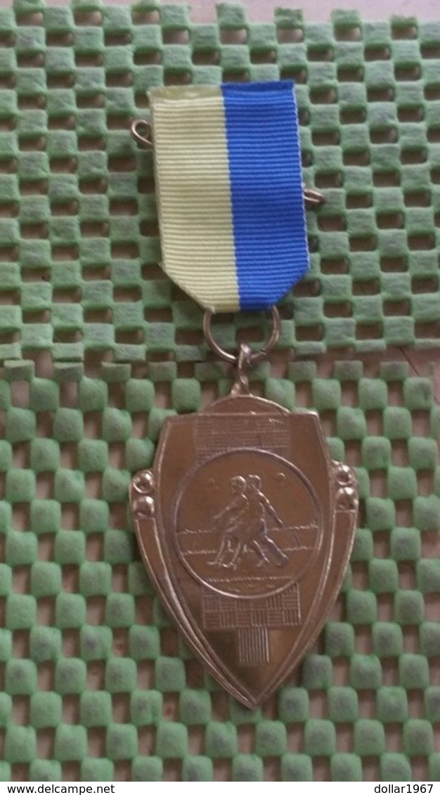 Medaille :Netherlands  -  W.V De Trekkers Borne - 15-4-1989  / Vintage Medal - Walking Association . - Andere & Zonder Classificatie