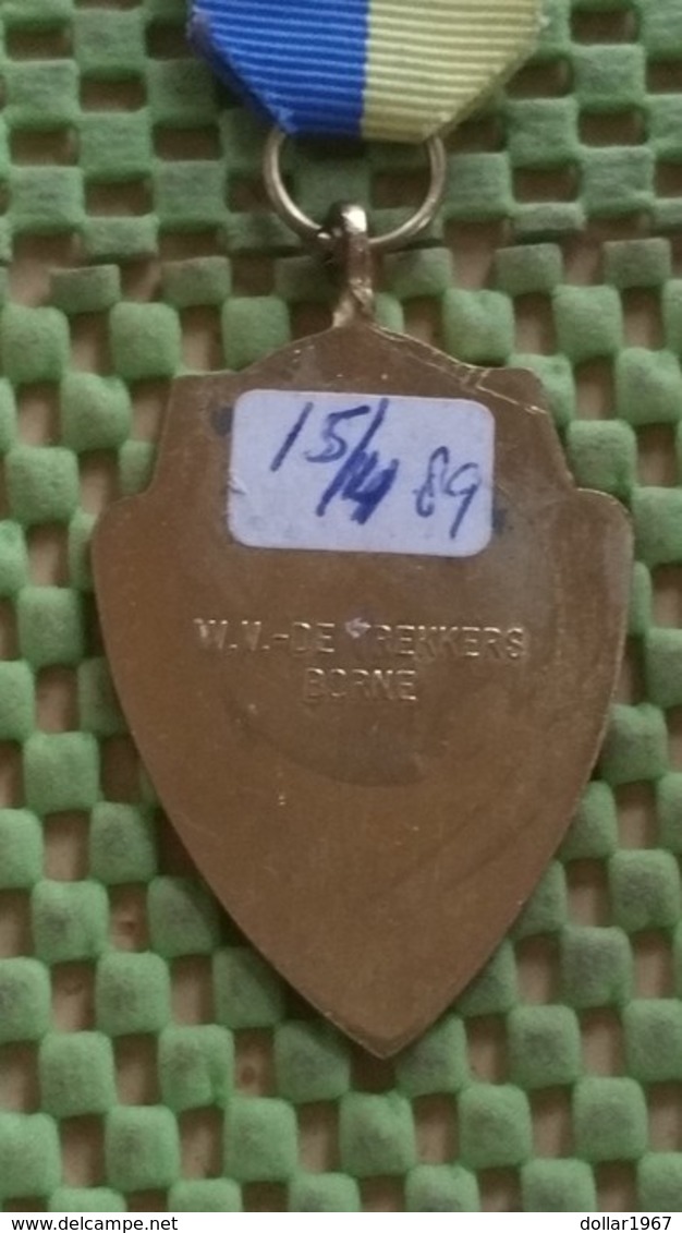 Medaille :Netherlands  -  W.V De Trekkers Borne - 15-4-1989  / Vintage Medal - Walking Association . - Andere & Zonder Classificatie