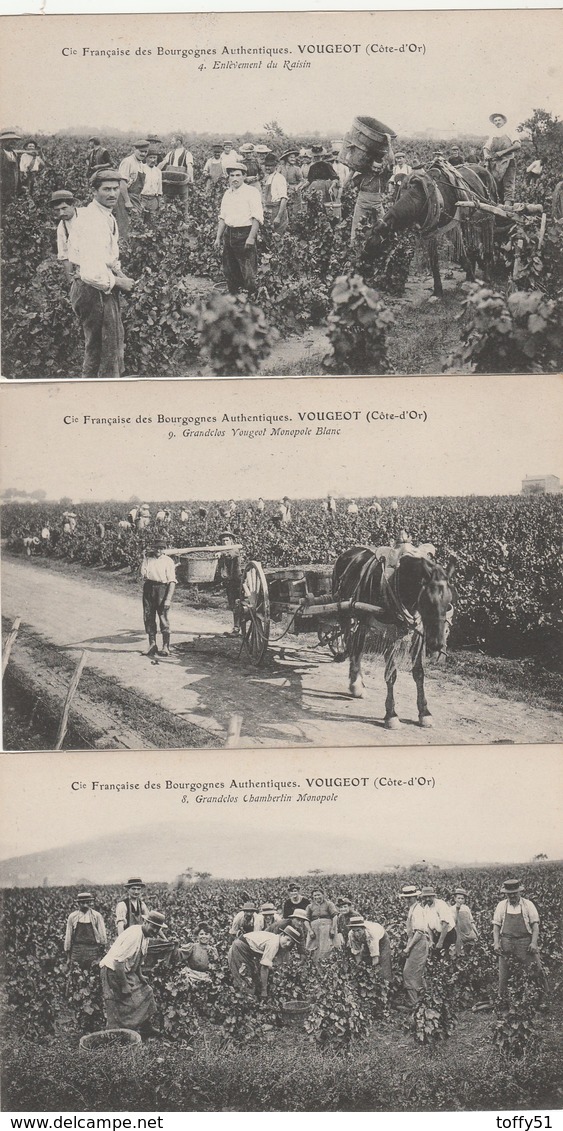 5 CPA:VIGNES LE CLOS VOUGEOT MORIN PÈRE & FILS,VENDANGE GRANDCLOS CHAMBERLIN MONOPOLE,ATTELAGE PANIER RAISIN (21) - Otros & Sin Clasificación