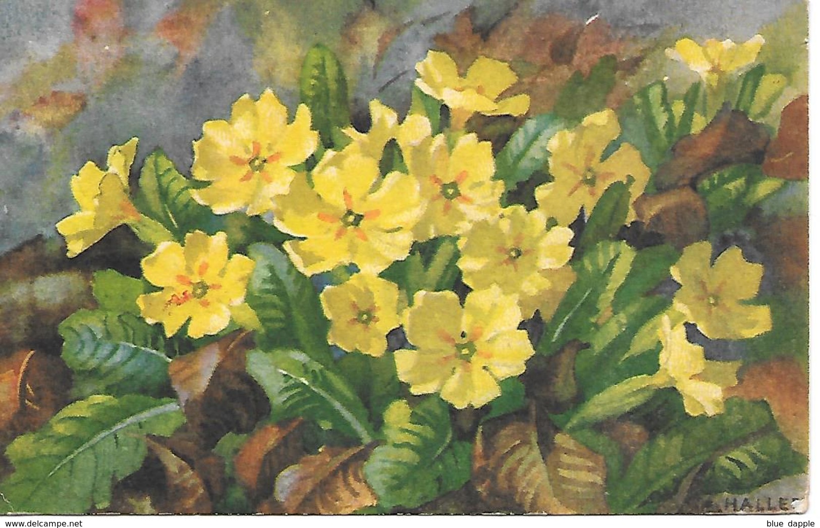 Illustrator - A. Haller -  Blumen, Flowers, Des Fleurs, Floreale - Haller, A.