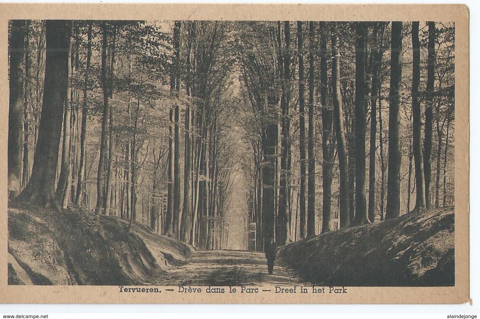 Tervuren - Tervueren - Drève Dans Le Parc - Dreef In Het Park - Uitgave Desmet - Tervuren