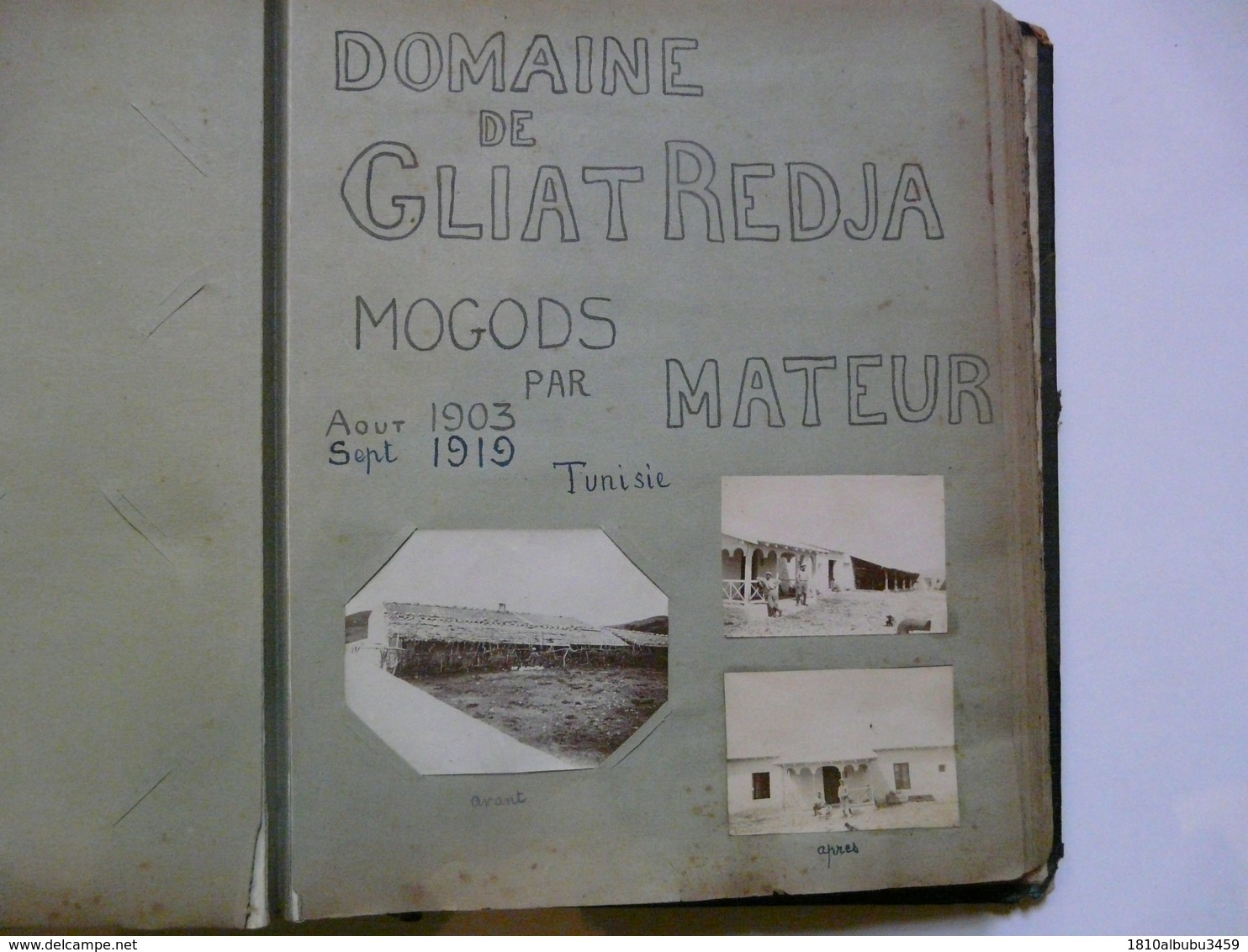 PHOTO ANCIENNE - TUNISIE : Domaine De GLIAT REDJA - Avant / Après - Août 1903 - Sept. 1919 - Afrika