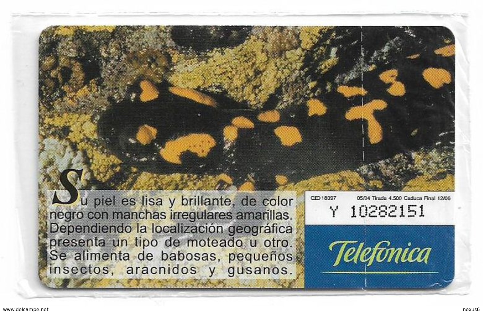 Spain - Telefonica - Fauna Iberica - Salamandra Comun - P-551 - 05.2004, 4.500ex, NSB - Emisiones Privadas