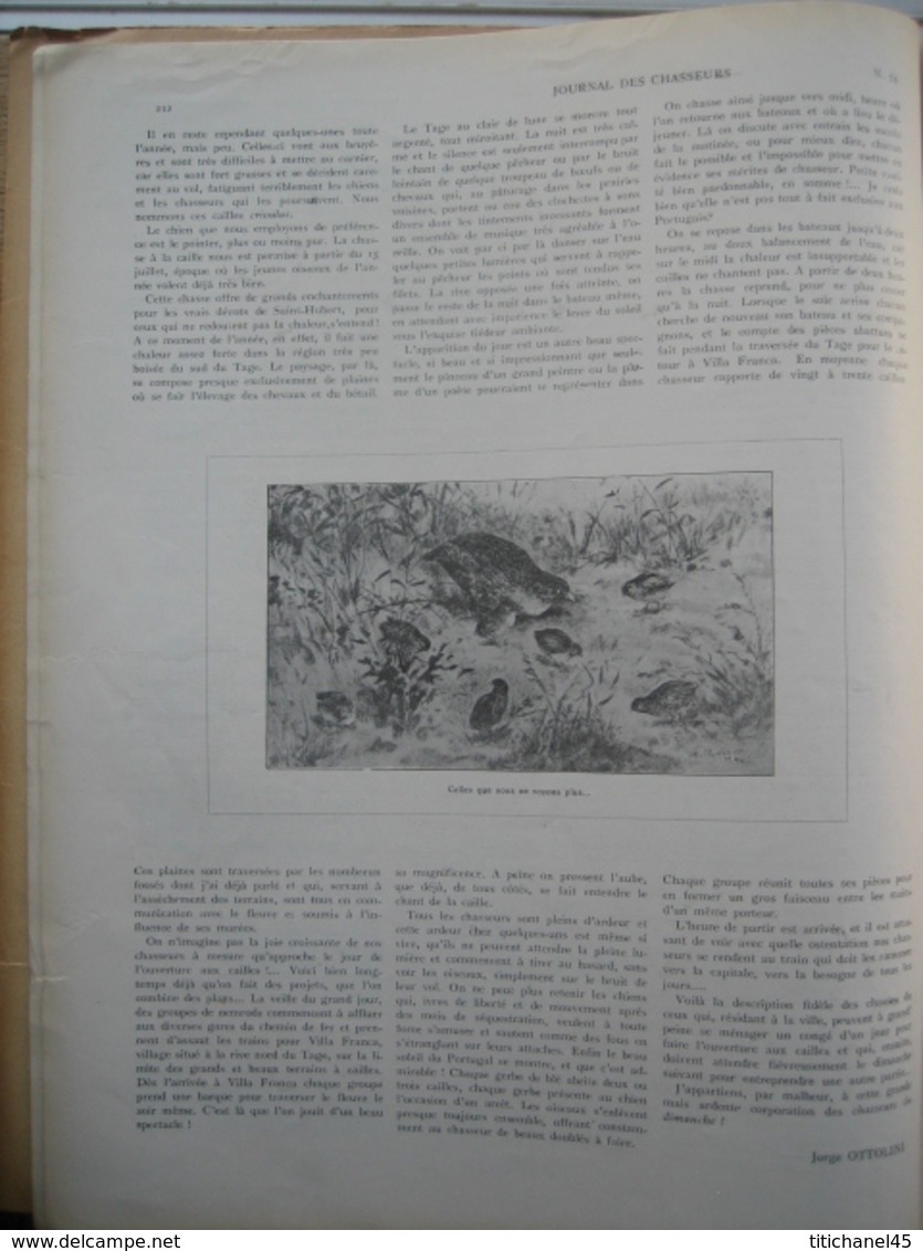 JOURNAL DES CHASSEURS ET DES GARDES 1914 n°74 -32 pages richement illustrées : armes - cartouches ...