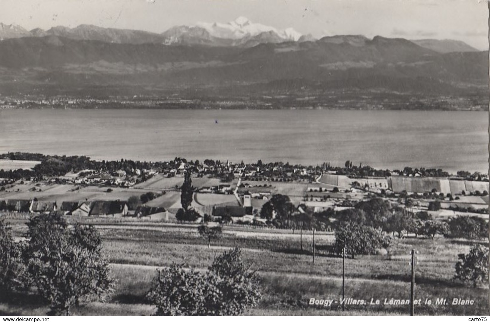 Suisse - Bougy-Villars - Lac Léman Et Mont-Blanc - Bougy-Villars