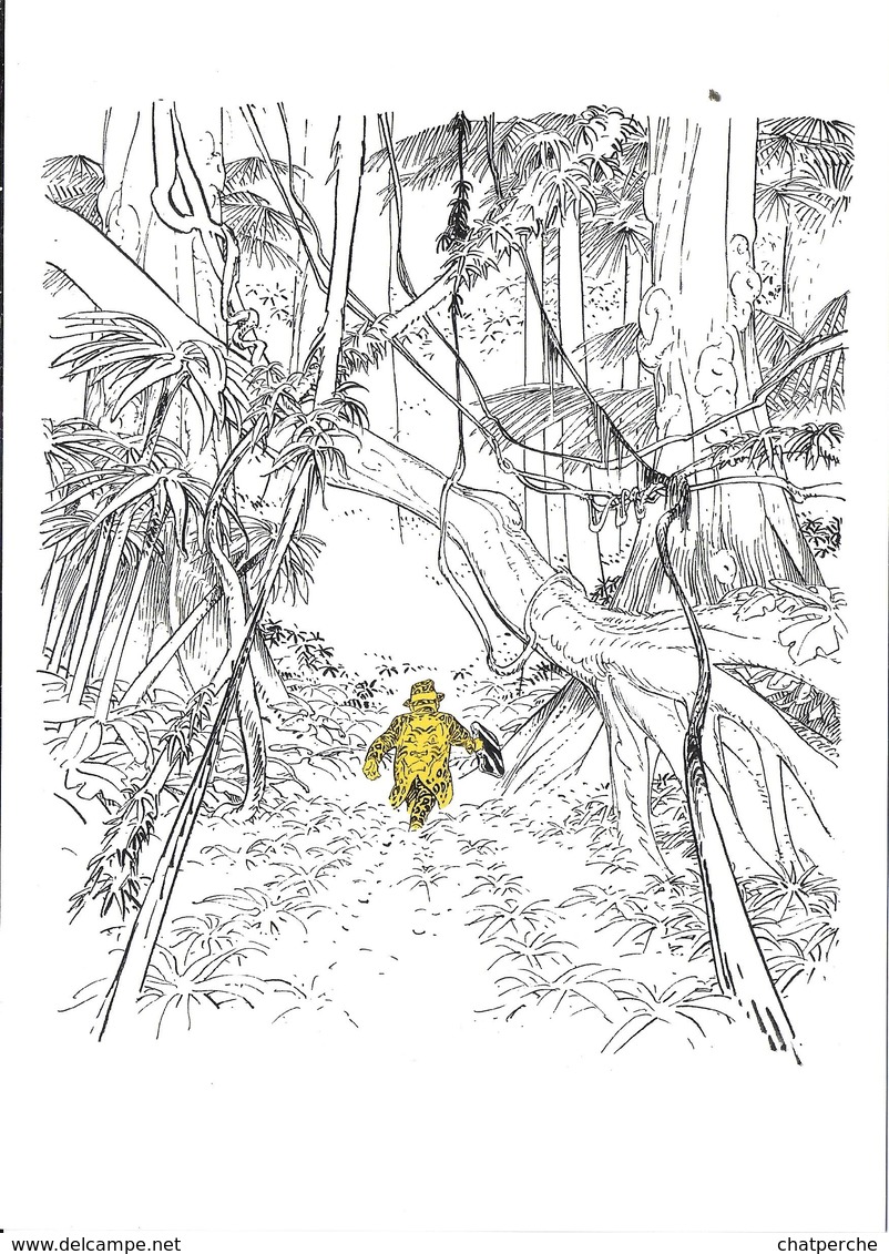 B-D BANDE DESSINÉE EX-LIBRIS LES AVENTURES DE JEROME MOUCHEROT LE TIGRE DU BENGALE FRANCIS BOUCQ LE LOMBARD - Illustrateurs M - O