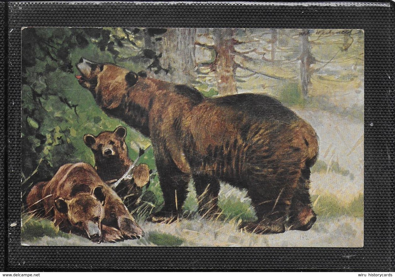 AK 0397  Braunbären - Künstlerkarte Von 1910-20 - Bären