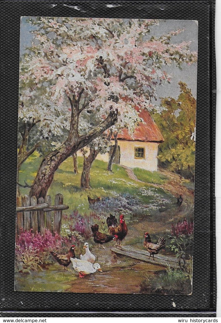 AK 0397  Ländliche Idylle Mit Hühnern Und Enten - Künstlerkarte Um 1910-20 - Pájaros