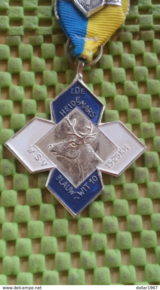 Medaille :Netherlands  - W.S.V Blauw - Wit 10 - Ede .  / Vintage Medal - Walking Association . - Other & Unclassified