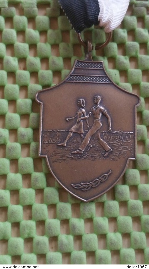 Medaille :Netherlands  -  Tukkertocht Albergen.  / Vintage Medal - Walking Association . - Andere & Zonder Classificatie