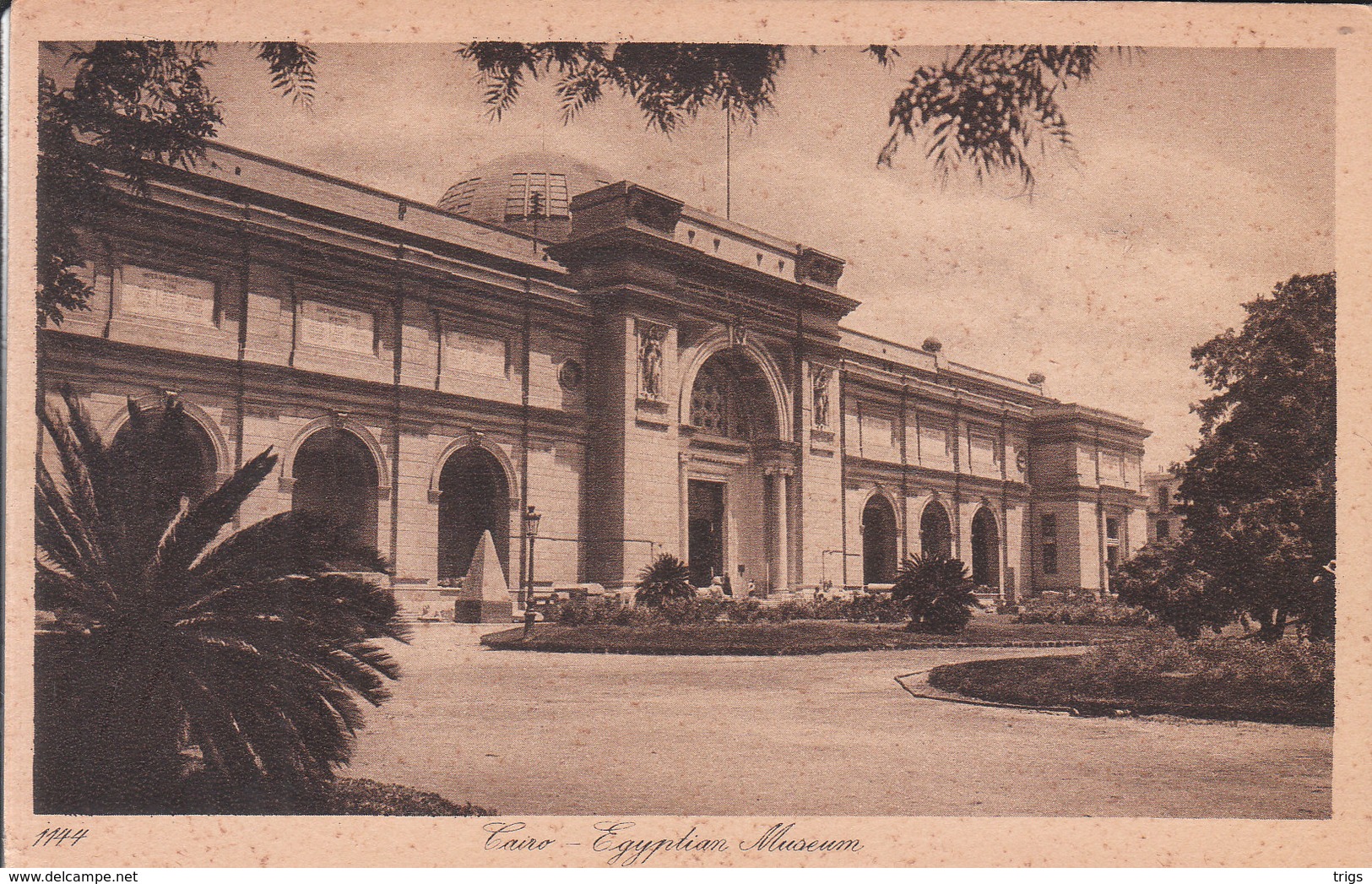 Caïro - Egyptian Museum - Cairo