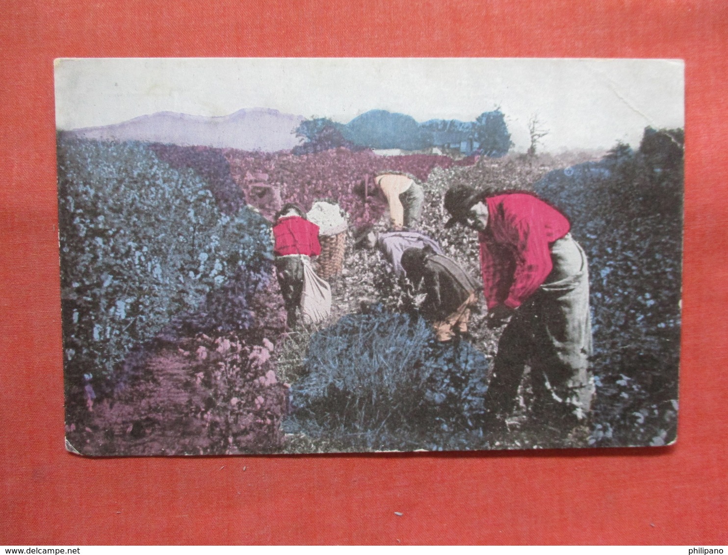 Black Americana   Picking Cotton In Alabama   Ref 3803 - Black Americana