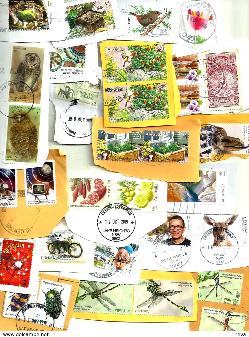 AUSTRALIA LOT1 MIXTURE OF50+USED STAMPS SOME 2015/19 INC.NEW SPACE "$1,,"GARDEN"$1,ETC READ DESCRIPTION!! - Used Stamps