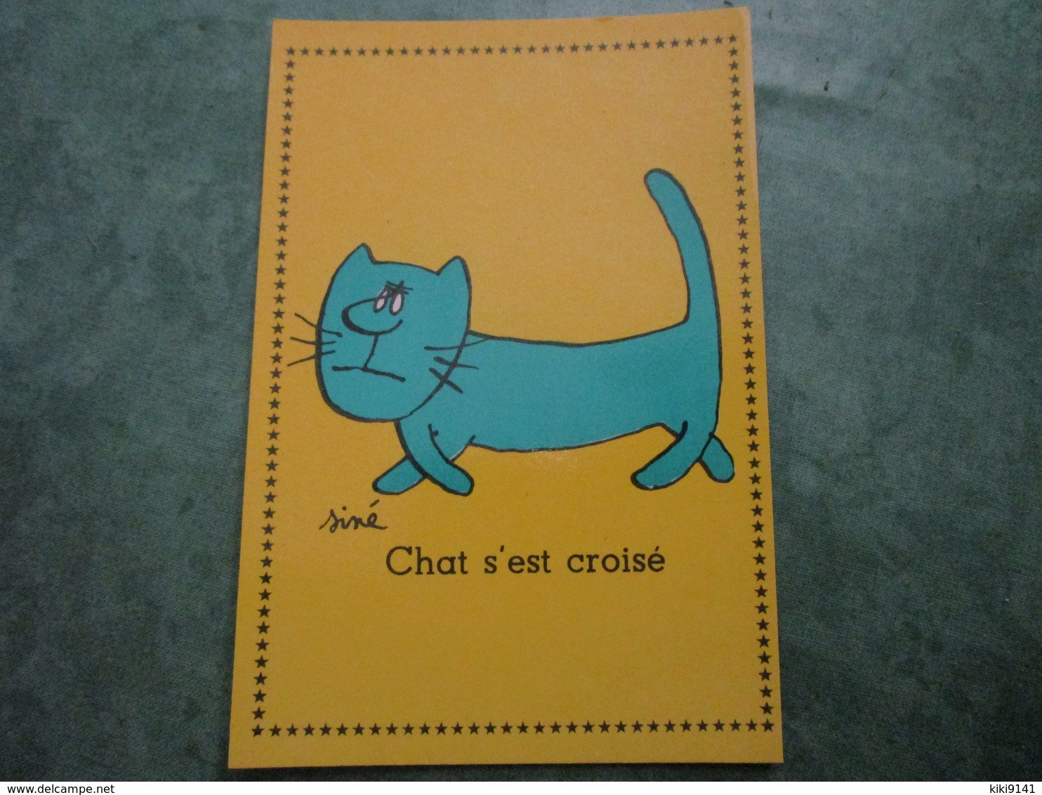 Chat S'est Croisé - Sine