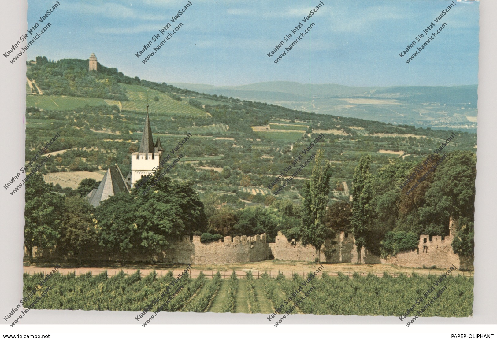 6507 INGELHEIM, Burgkirche Mit Bismarckturm - Ingelheim