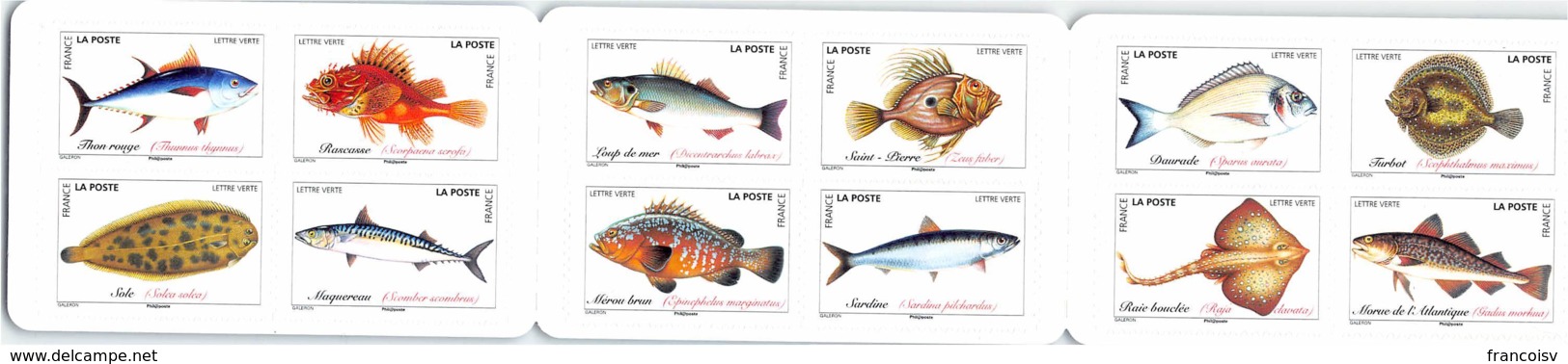 Les Poissons De Mer .. Carnet 12 TVP Lettre Verte 2019 Non Plié Timbres France - Other & Unclassified