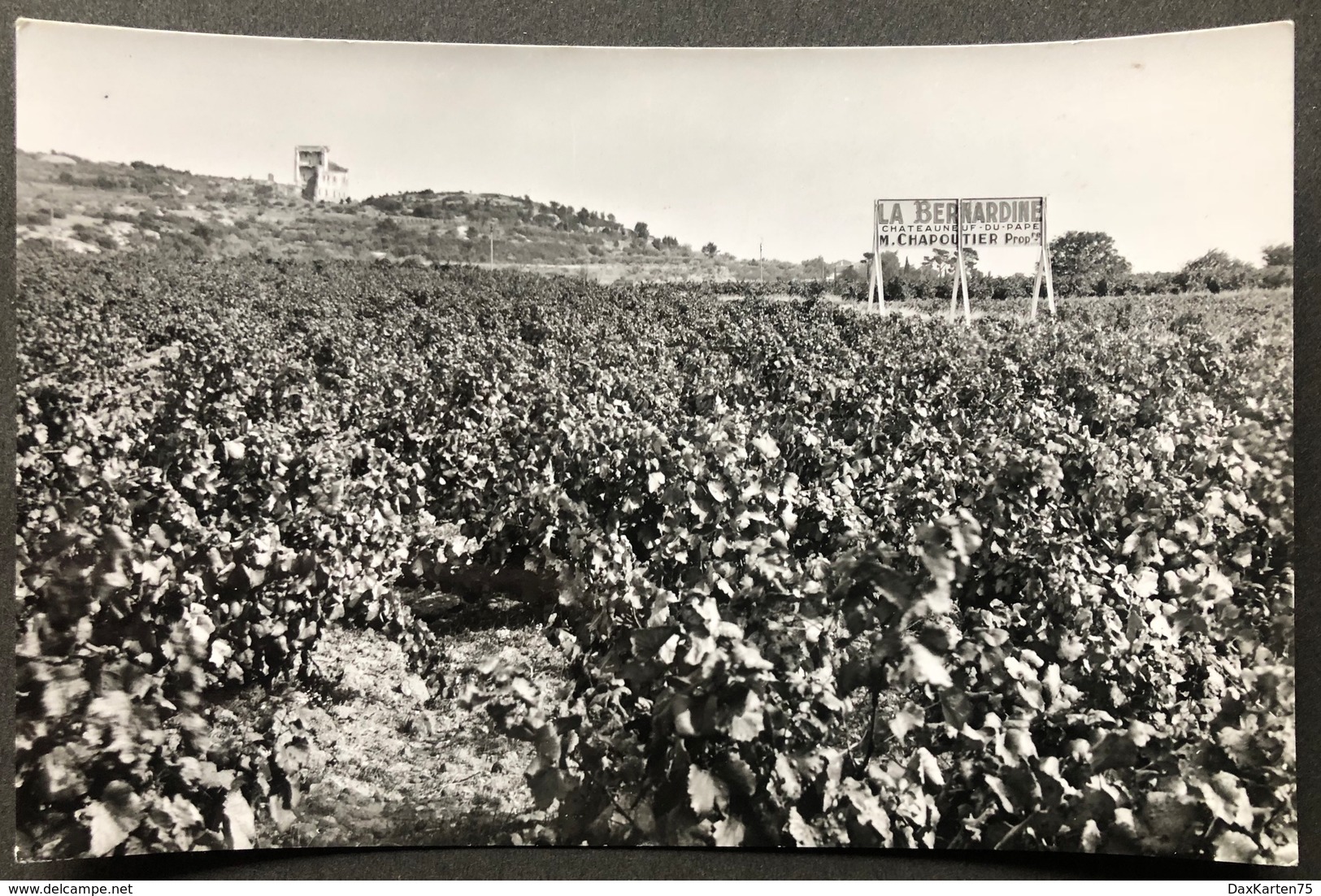 Château Neuf Du Papes ,la Bernardone‘ - Chateauneuf Du Pape