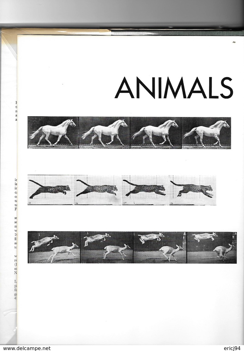 Animals In Motion - Eadweard Muybridge - Pré Cinéma - Dover Publications 1957 - Autres & Non Classés