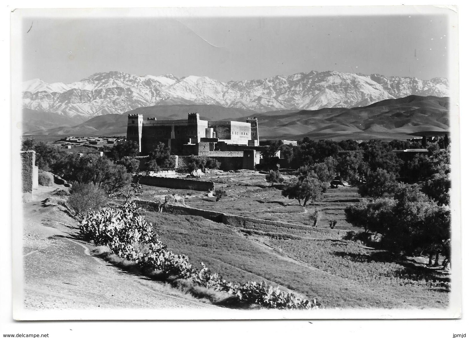 Maroc - Photographie - PHOTO FÉLIX - MARRAKECH - Afrique