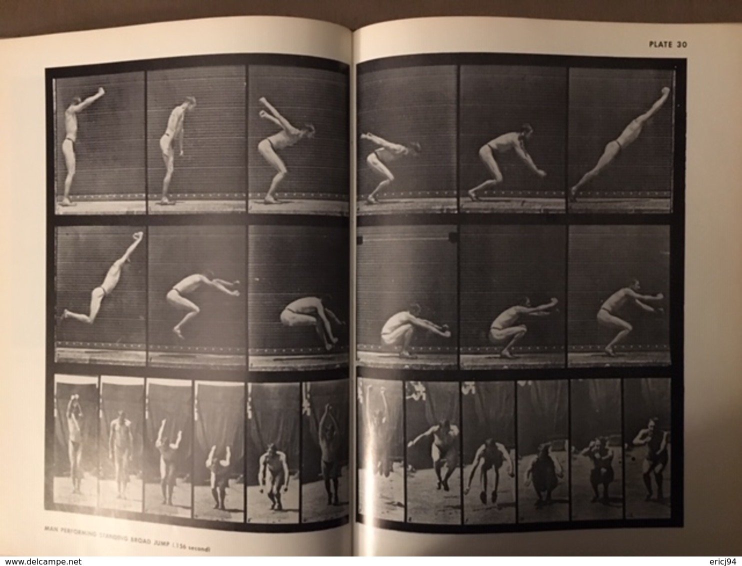 The Human Figure In Motion - Eadweard Muybridge - Pré Cinéma - Dover Publications 1957 - Sonstige & Ohne Zuordnung