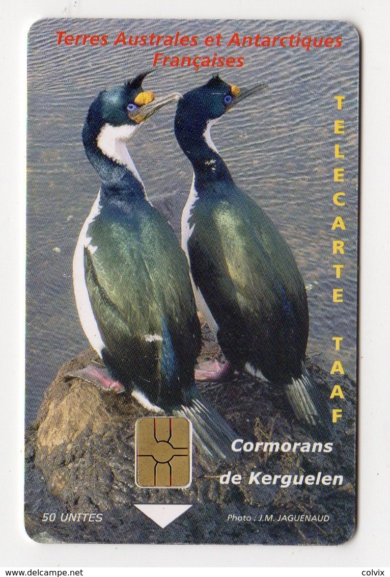 TAAF TERRES AUSTRALES REF TAAF-38 CORMORANS DE KERGUELEN 50U  Tirage 2000 Ex - TAAF - Territori Francesi Meridionali