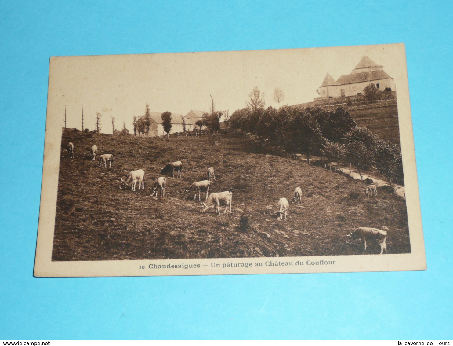 CPA, Carte Postale, Cantal 15, Chaudesaigues Chaudes-Aigues,  Un Paturage Au Chateau Du Couffour, Vaches - Other & Unclassified