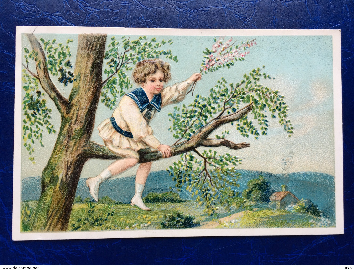 Cpa--gaufrée-"Garçon Sur Branche D'arbre-costume Marin"--(my Ref 332)-1908 - Scènes & Paysages