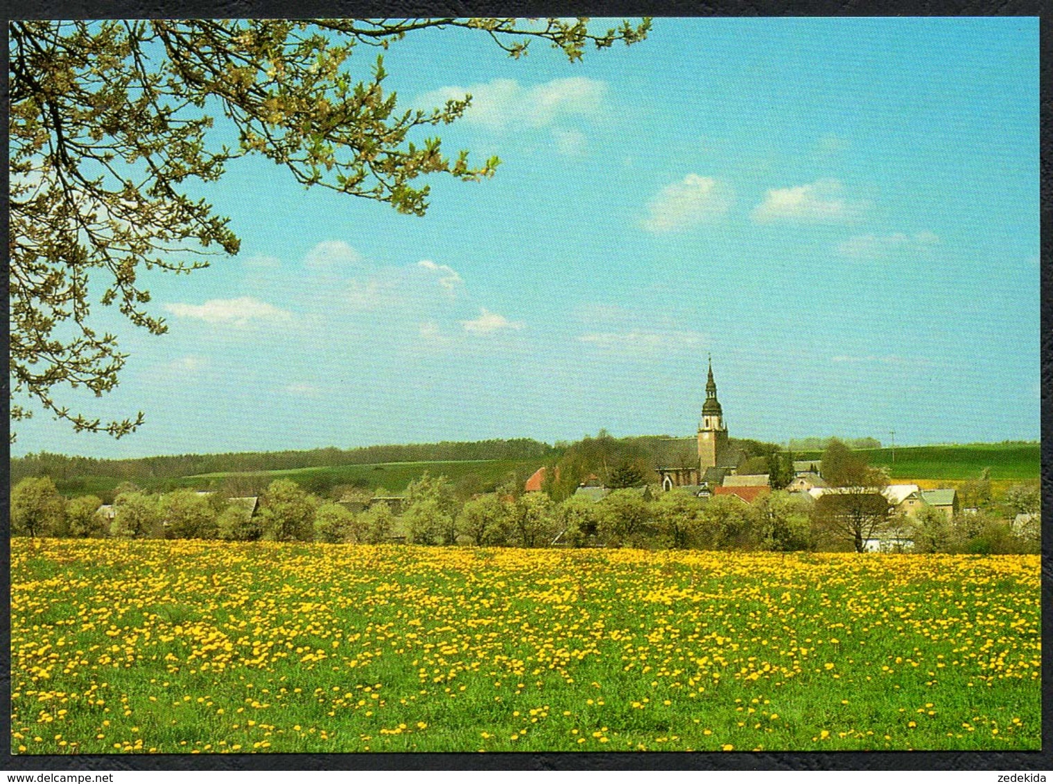 D1910 - TOP Langenreinsdorf Bei Crimmitschau - Verlag Bild Und Heimat Reichenbach Qualitätskarte - Crimmitschau