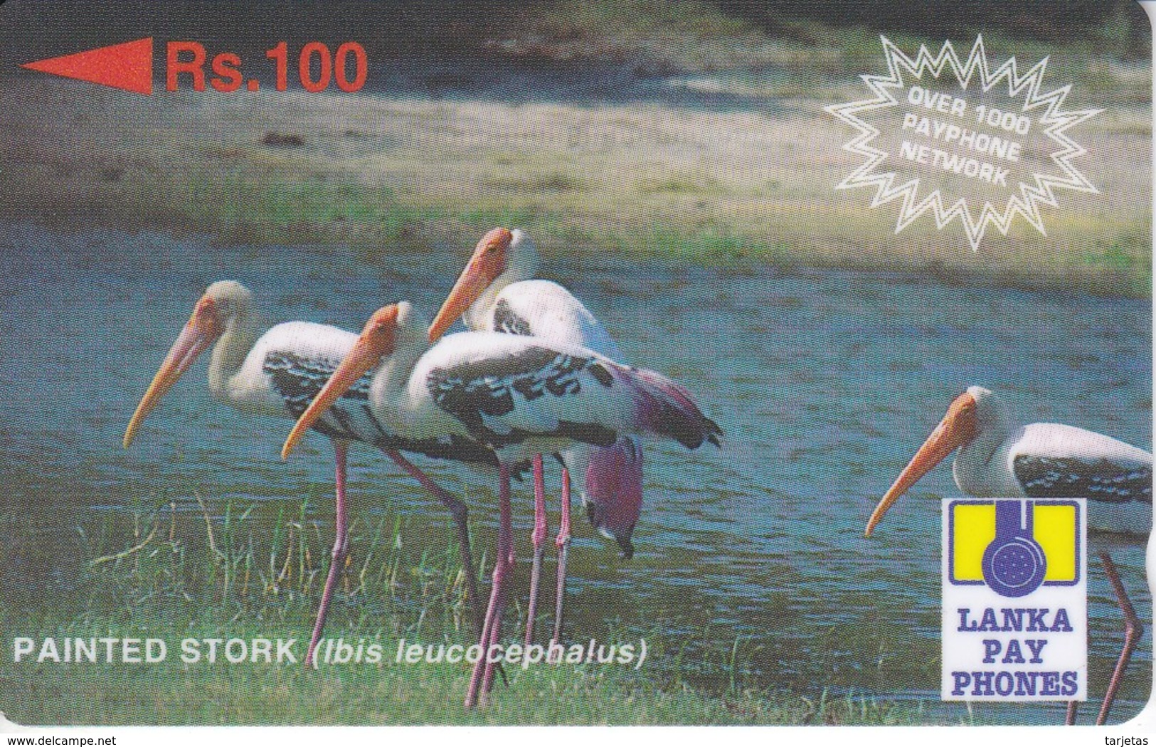 TARJETA DE SRY LANKA DE Rs.100 DE UN PAINTED STORK (29SRLC) BIRD-PAJARO - Sri Lanka (Ceylon)