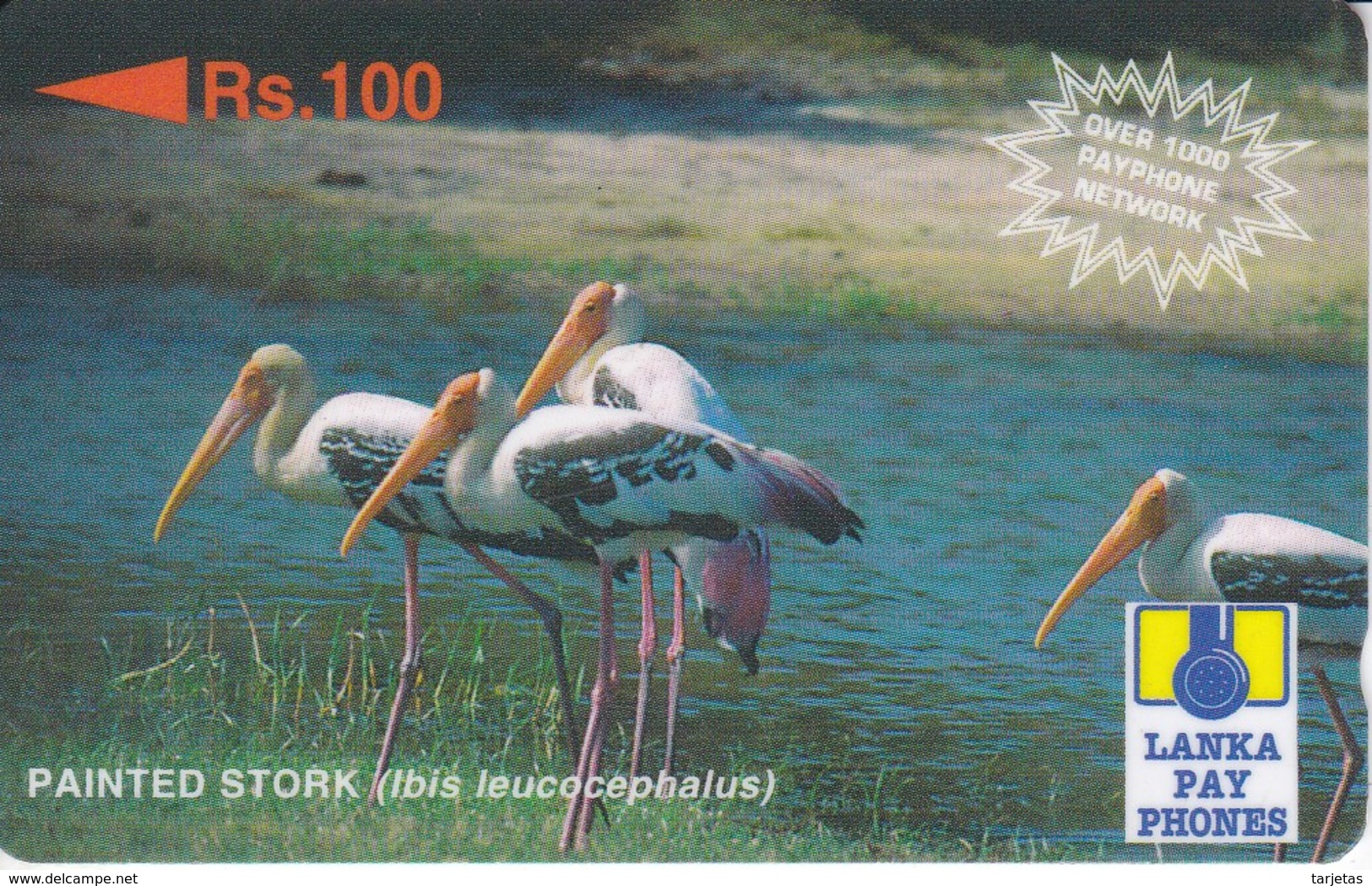 TARJETA DE SRY LANKA DE Rs.100 DE UN PAINTED STORK (32SRLE) BIRD-PAJARO - Sri Lanka (Ceilán)