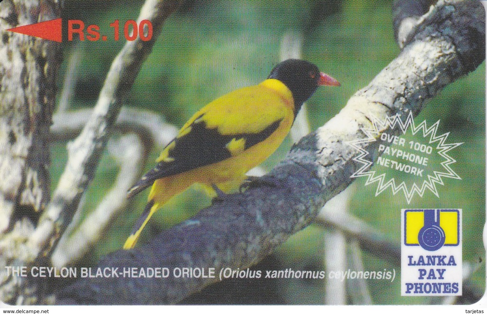 TARJETA DE SRY LANKA DE Rs.100 DE UN CEYLON BLACK ORIOLE (28SRLC) BIRD-PAJARO - Sri Lanka (Ceylon)