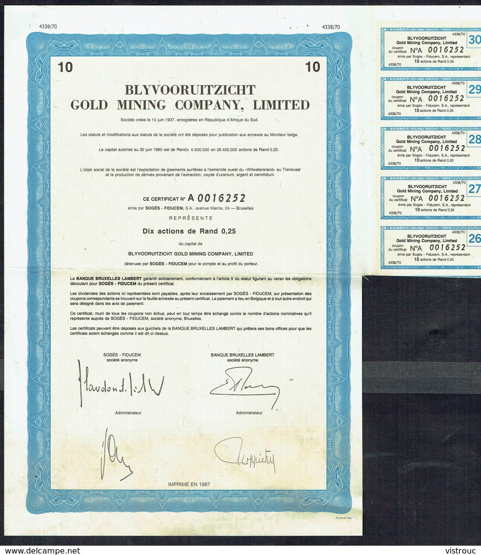 BLYVOORUITZICHT GOLD MINING COMPANY, Limited - Afrique Du Sud - CERTIFICAT Représentant 10 ACTIONS - 1987 - Miniere