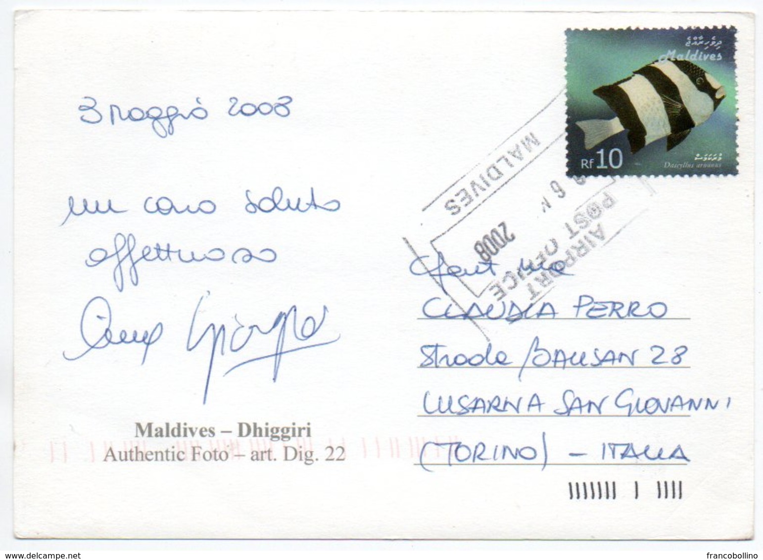 MALDIVES - DHIGGIRI / THEMATIC STAMP-FISH - Maldive