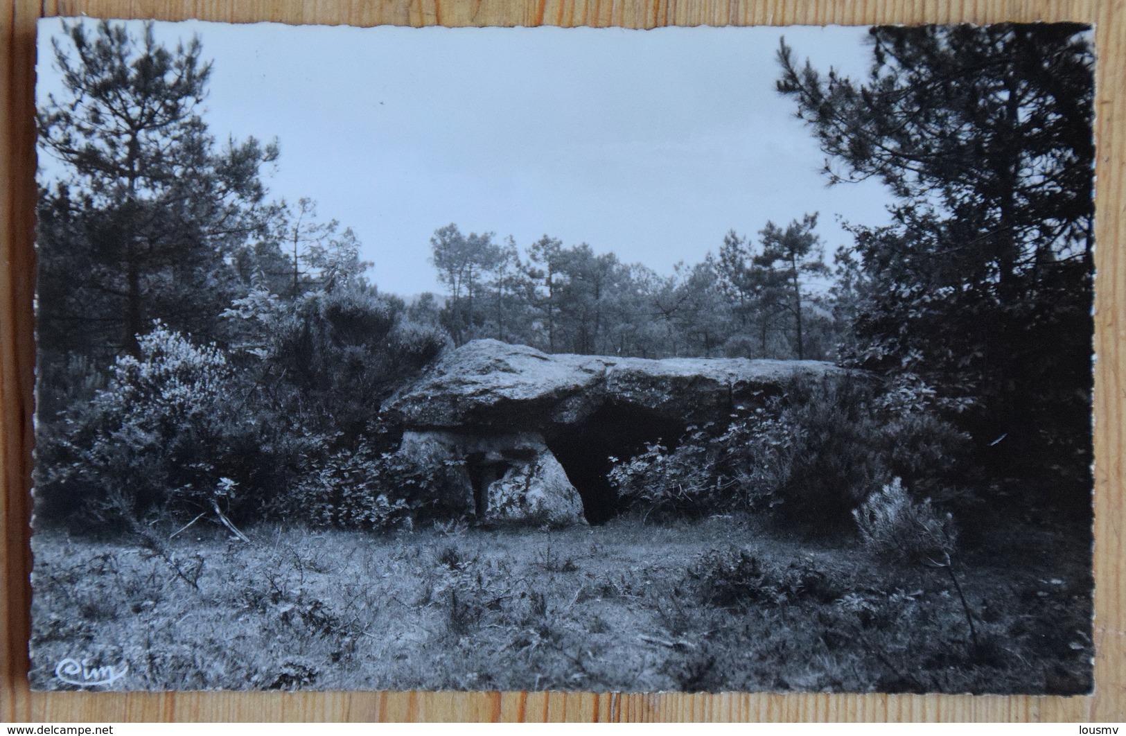 56 : La Gacilly - Les Tablettes De Cournon - Dolmen - (n°16847) - La Gacilly