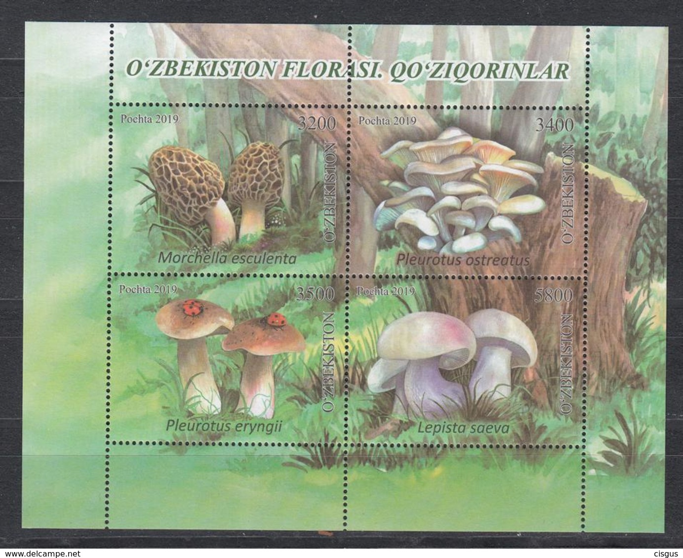 Uz 1399-1402Bl.101 Uzbekistan Usbekistan 2019 Mushrooms - Uzbekistan