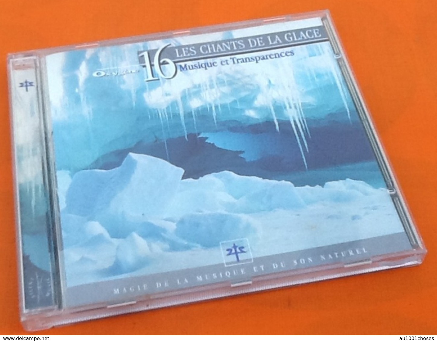 CD  Les Chants De La Glace   Musique Et Transparences  Musique Vincent Bruley (1997) - Autres & Non Classés