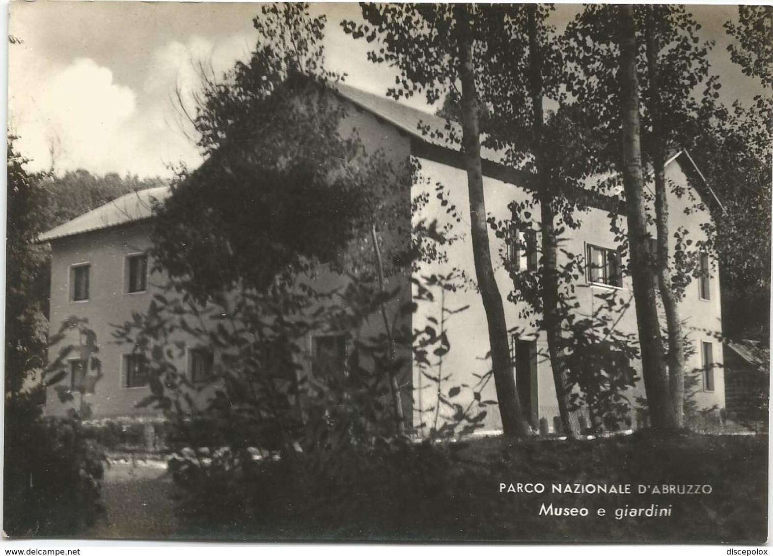 Y4985 Parco Nazionale D'Abruzzo (L'Aquila) - Museo E Giardini / Non Viaggiata - Altri & Non Classificati