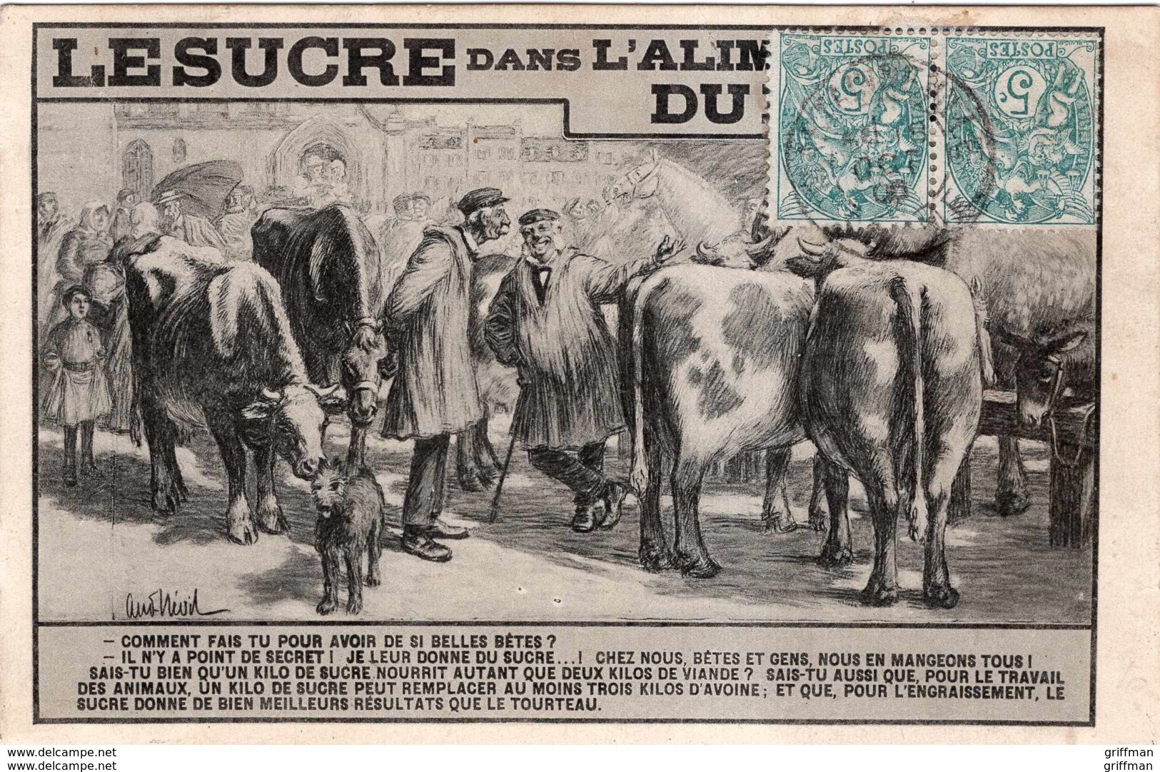 LE SUCRE DANS L'ALIMENTATION DU BETAIL VACHES BOVINS 1906 TBE - Viehzucht