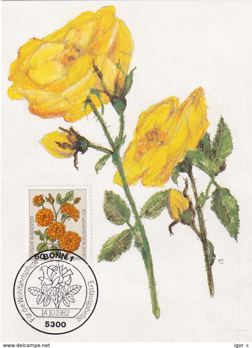 Germany 1982 Maximum Card: Flora ; Rose Roses Rosen; Art Paintings Aquarell Von Paul Seuthe: Floribunda - Rosen