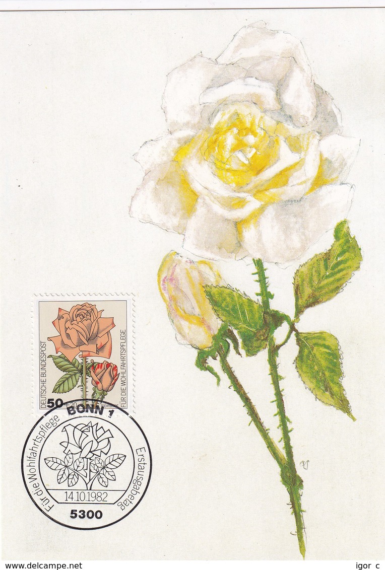 Germany 1982 Maximum Card: Flora ; Rose Roses Rosen; Art Paintings Aquarell Von Paul Seuthe: Teehybride - Rosen