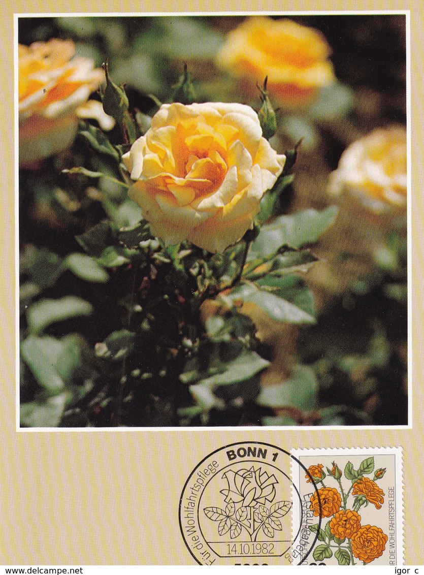 Germany 1982 Maximum Card: Flora ; Rose Roses Rosen;  Floribunda - Rosen