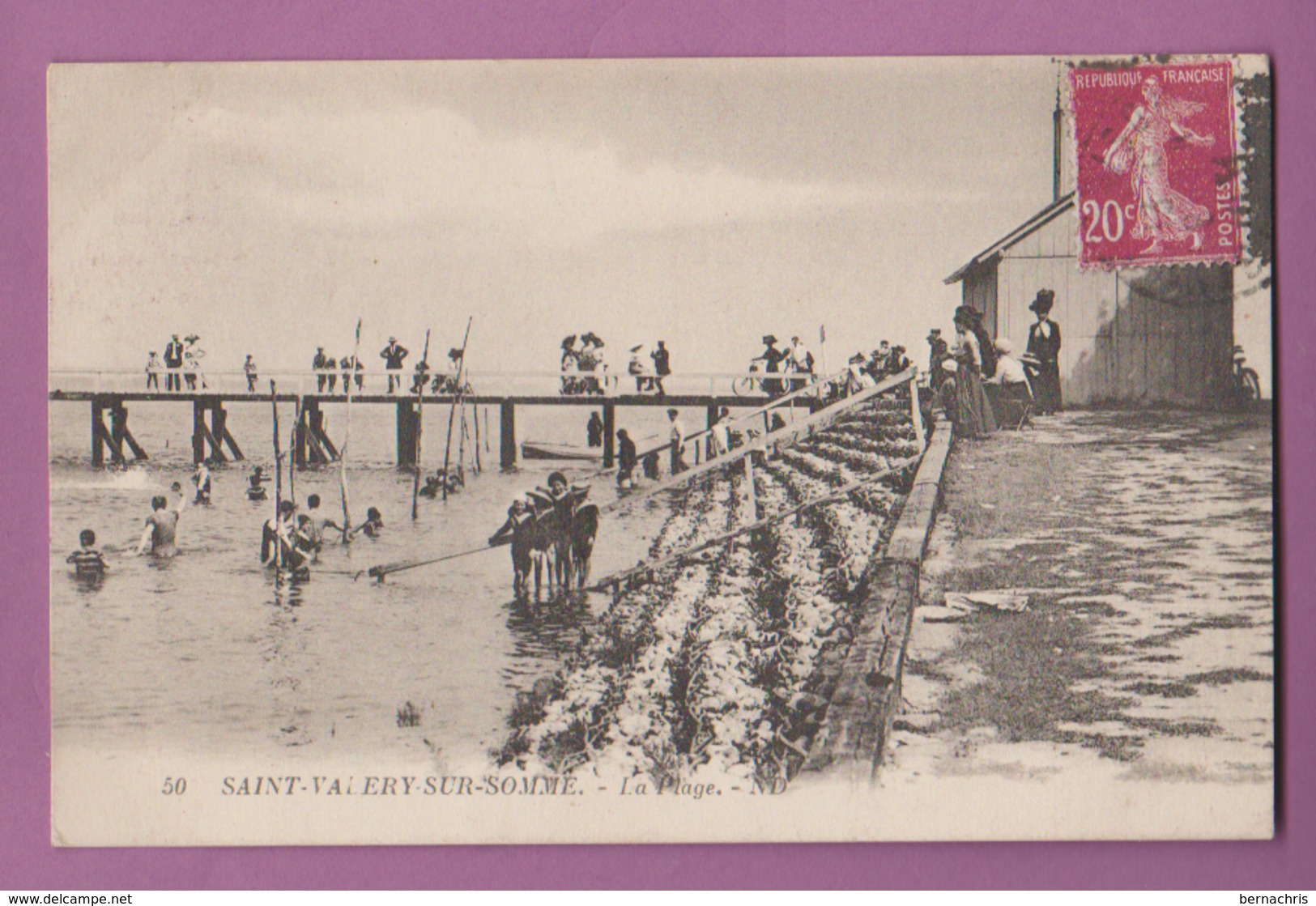 SAINT - VALERY - SUR - SOMME       La Plage     80 - Saint Valery Sur Somme