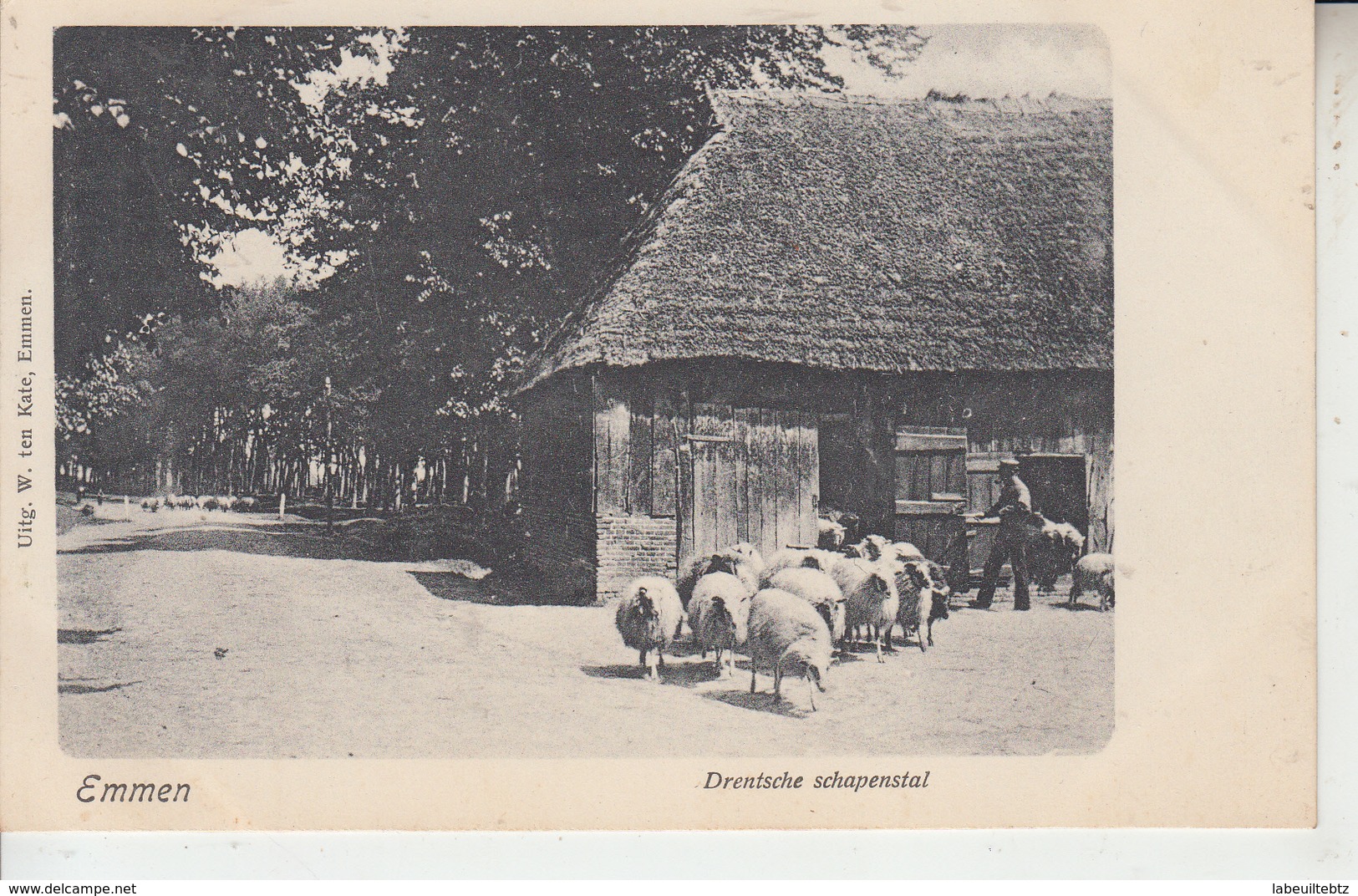 EMMEN - Drentsche Schapenstal ( Moutons )  PRIX FIXE - Emmen