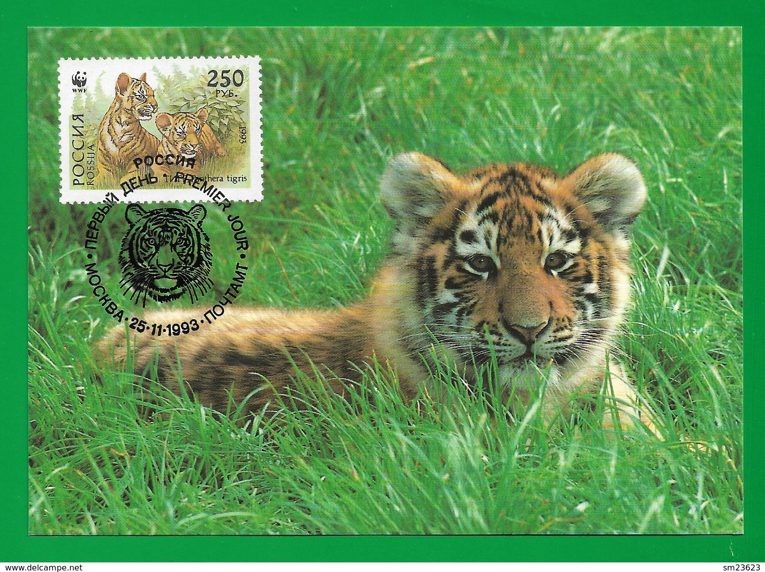 Russland / Russia 1993 Mi.Nr. 345 , Sibirischer Tiger / Siberian Tiger - WWF Official Maximum Card - Mockba 25-11-1993 - Maximum Cards